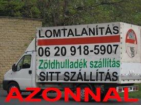 LOMTALANÍTÁS DUNAKESZI FÓT 06-20-9185-907 MOGYORÓD KEREPES GÖDÖLLŐ0